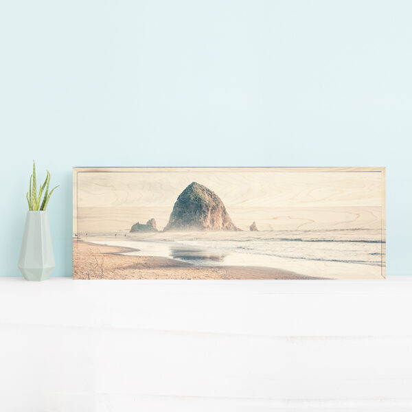 36x12 beach landscape photo printed on wood
